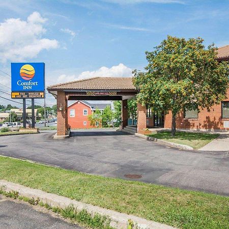 Comfort Inn Bathurst Bagian luar foto